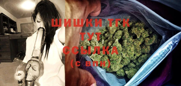 тгк Алзамай
