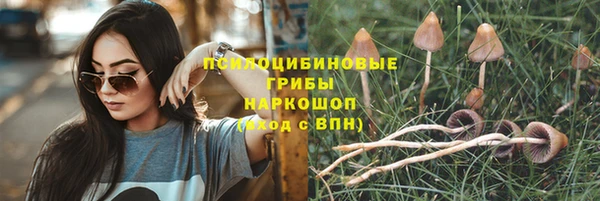 трава Магас