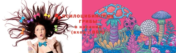 ПСИЛОЦИБИНОВЫЕ ГРИБЫ Магадан