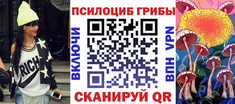 Псилоцибиновые грибы Psilocybine cubensis  Чухлома 